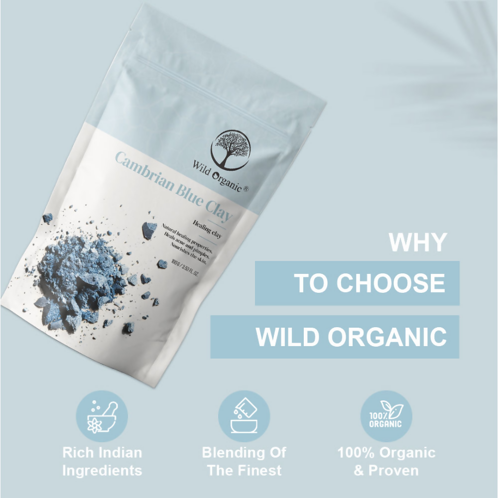 Wild Organic Cambrian Blue Healing Clay Powder  Grab2Buy Wild Organic Grab2Buy